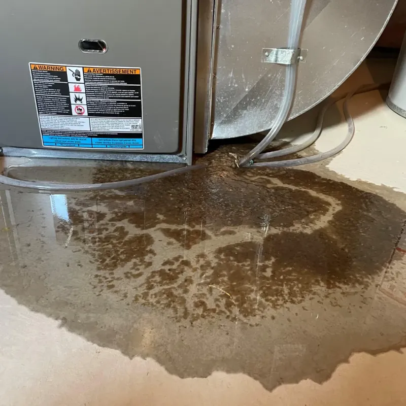 Appliance Leak Cleanup in Danielsville, GA