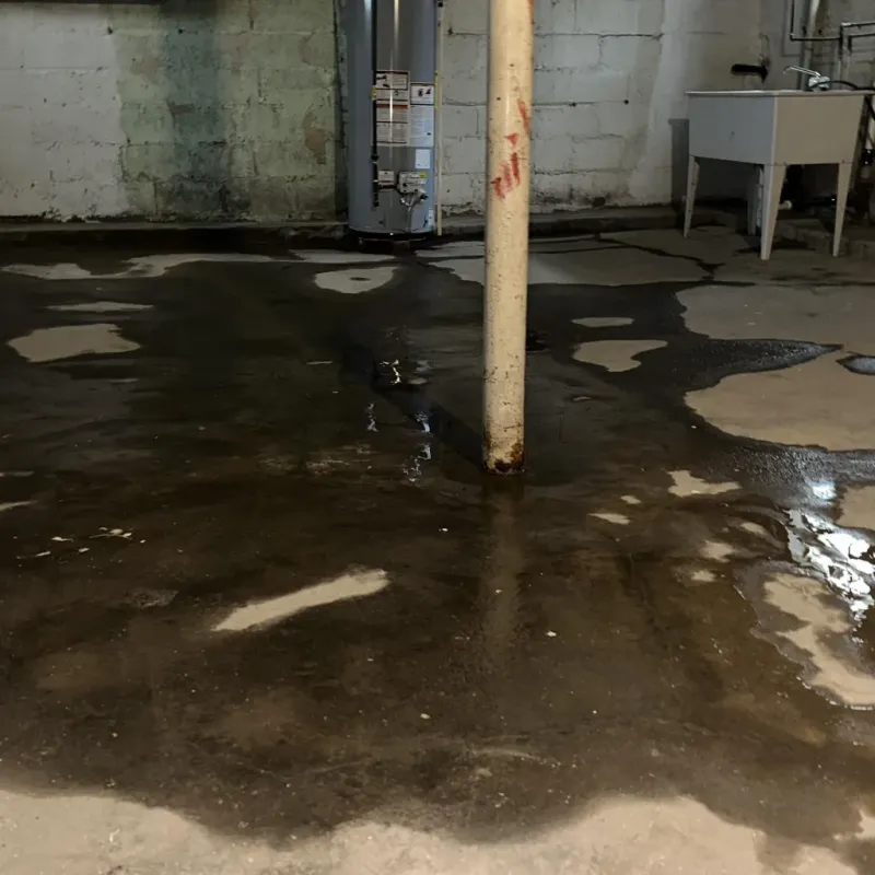 Emergency Water Extraction And Removal in Danielsville, GA